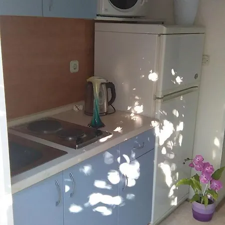 Vini تروغير