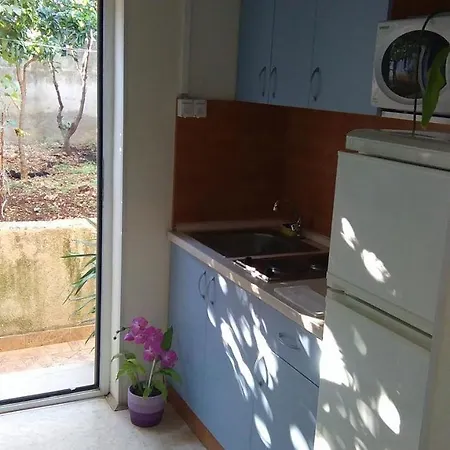 Vini Apartament